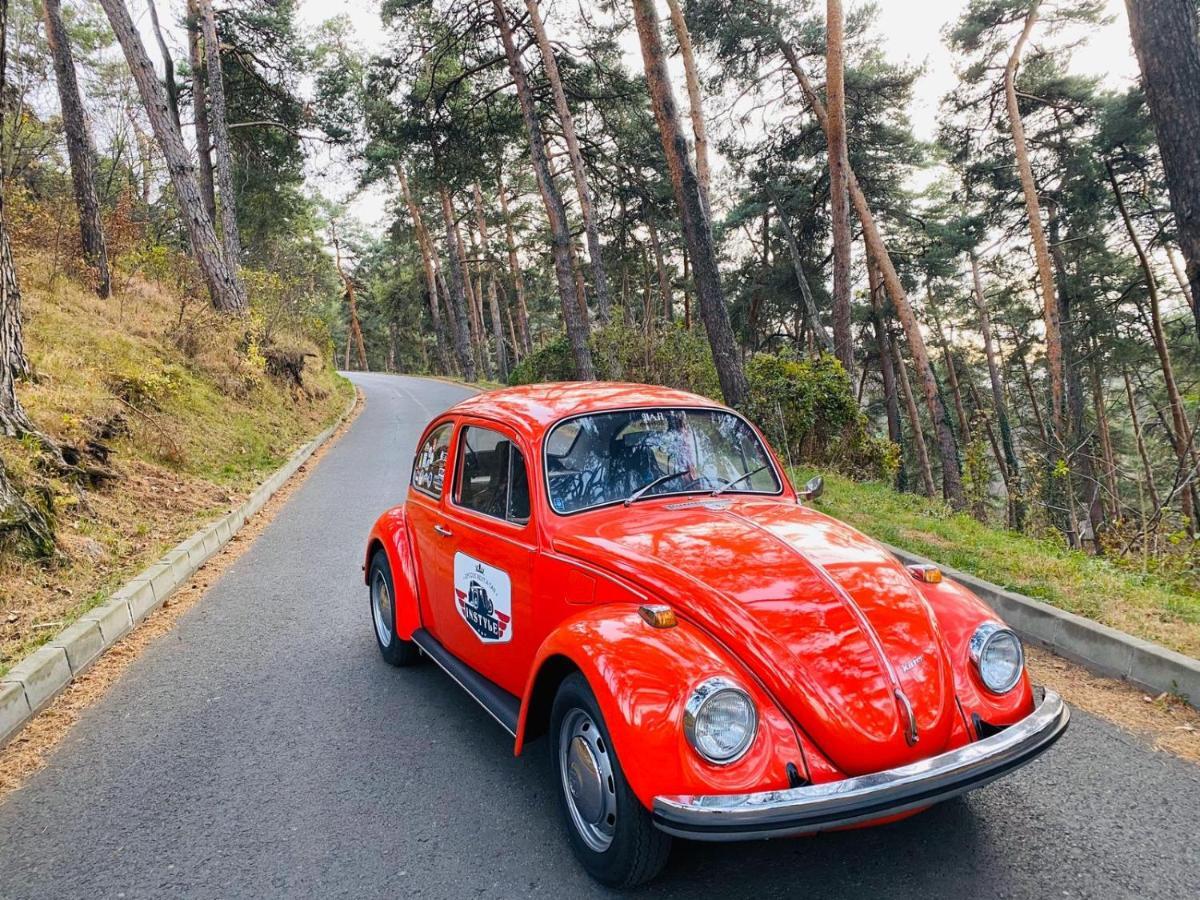 Vila Old Cars Cristian  Eksteriør billede
